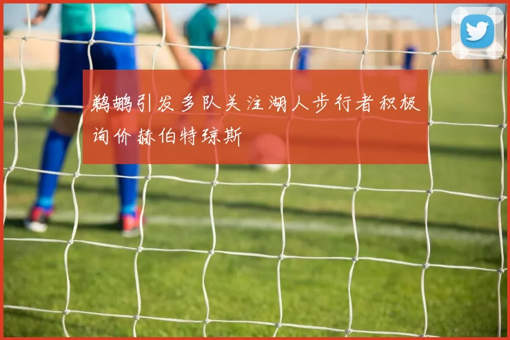 鹈鹕引发多队关注湖人步行者积极询价赫伯特琼斯